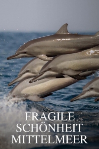 Тайны Средиземноморья